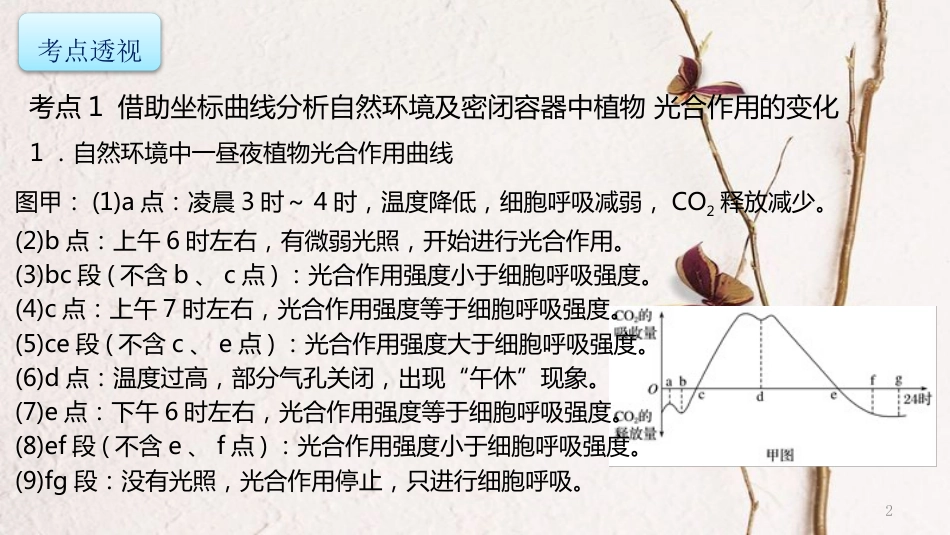 年高考生物二轮复习 专题2 细胞的代谢 第2讲 光合作用与呼吸作用（2）课件_第2页