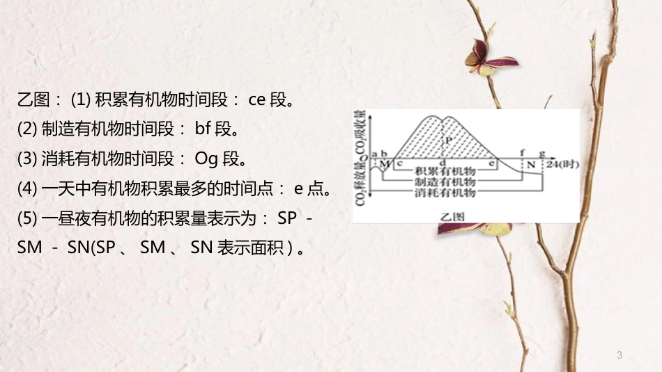 年高考生物二轮复习 专题2 细胞的代谢 第2讲 光合作用与呼吸作用（2）课件_第3页