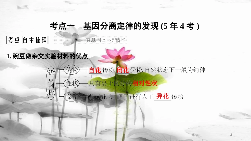 届高考生物一轮复习 第五单元 遗传的基本规律 第14讲 基因的分离定律课件_第2页