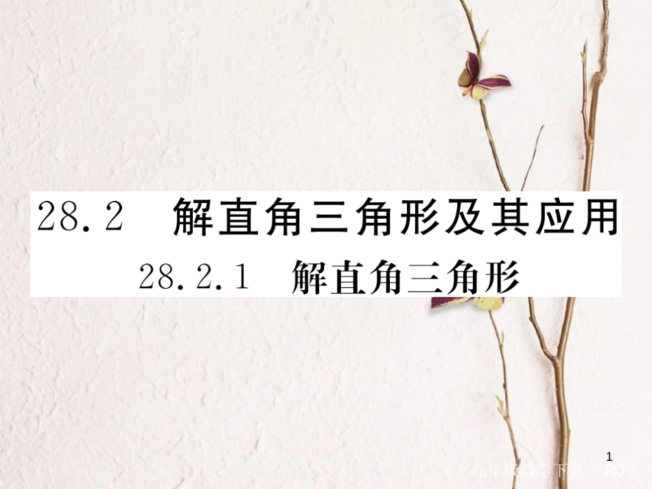 九年级数学下册 28 锐角三角函数 28.2 解直角三角形及其应用 28.2.1 解直角三角形作业课件 （新版）新人教版_第1页