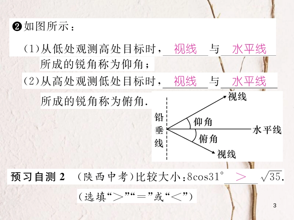 九年级数学下册 第1章 直角三角形的边角关系 3 三角函数的计算（第1课时）求锐角三角函数值作业课件 （新版）北师大版_第3页