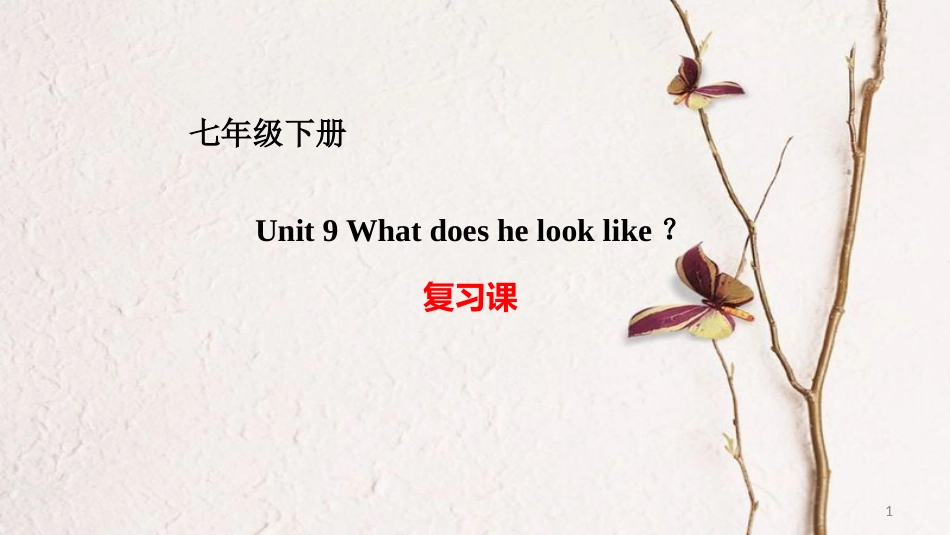 七年级英语下册 Unit 9 What does he look like复习课件 （新版）人教新目标版_第1页