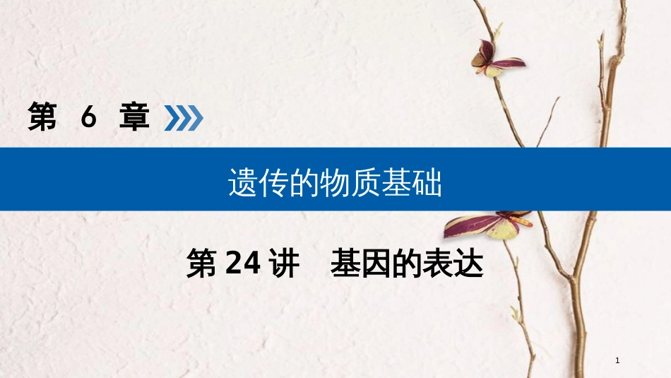 2019版高考生物大一轮复习 第24讲 基因的表达优选课件_第1页