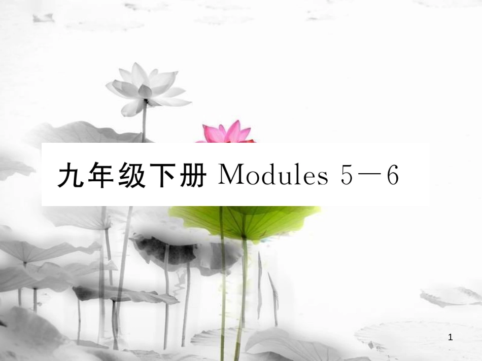 届中考英语总复习 九下 Modules 5-6课件 外研版_第1页