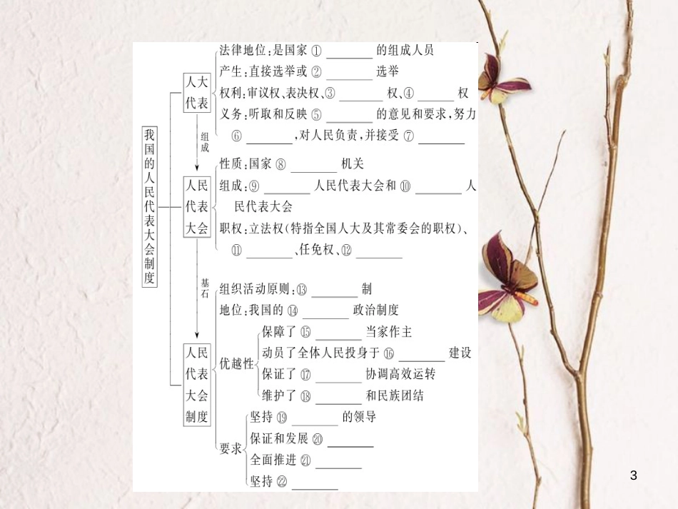 2019年高考政治一轮复习 第三单元 发展社会主义民主政治 5 我国的人民代表大会制度课件 新人教版必修2_第3页