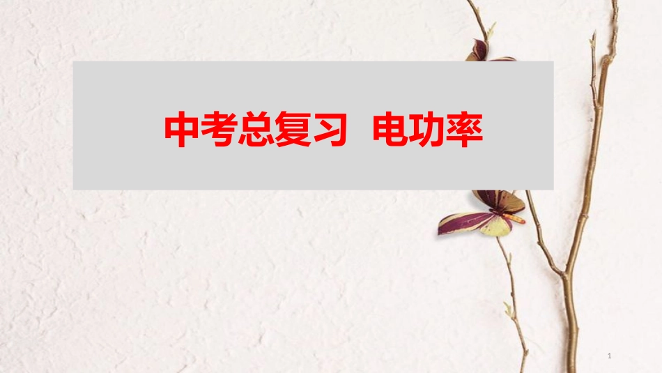 山东省新泰市中考物理 电功率复习课件 新人教版_第1页