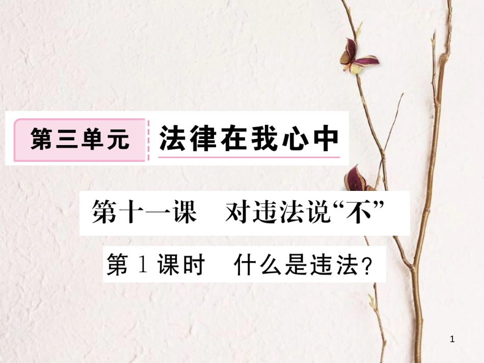 八年级道德与法治上册 第三单元 法律在我心中 第十一课 对违法说“不”第1框《什么是违法》习题课件 人民版_第1页
