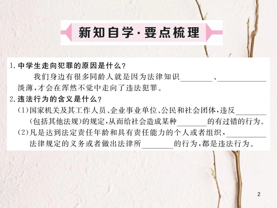 八年级道德与法治上册 第三单元 法律在我心中 第十一课 对违法说“不”第1框《什么是违法》习题课件 人民版_第2页