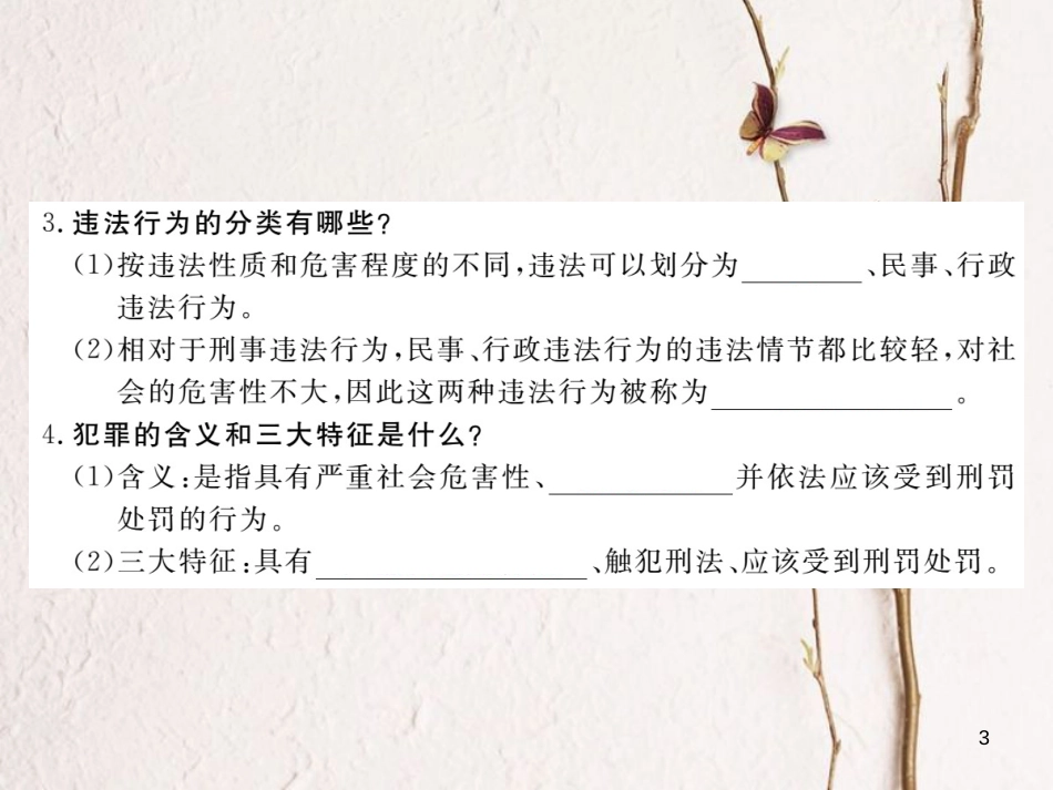 八年级道德与法治上册 第三单元 法律在我心中 第十一课 对违法说“不”第1框《什么是违法》习题课件 人民版_第3页