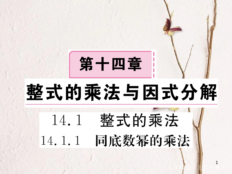 （贵州专用）八年级数学上册 14.1 整式的乘法 14.1.1 同底数幂的乘法课件 （新版）新人教版_第1页
