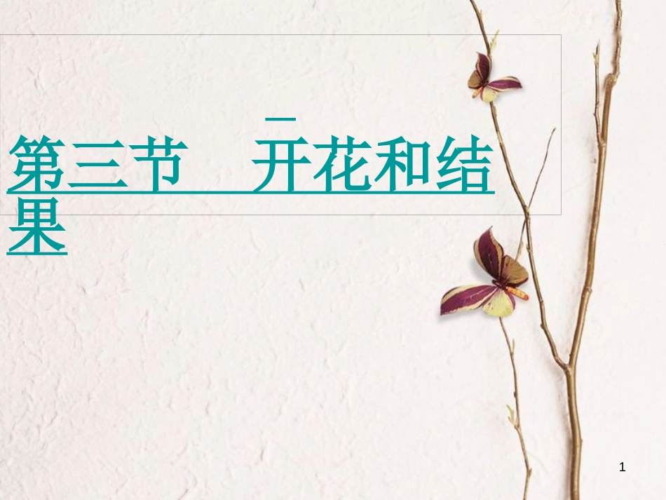 湖南省桑植县七年级生物上册 第三单元 第二章 第三节 开花和结果课件 （新版）新人教版_第1页