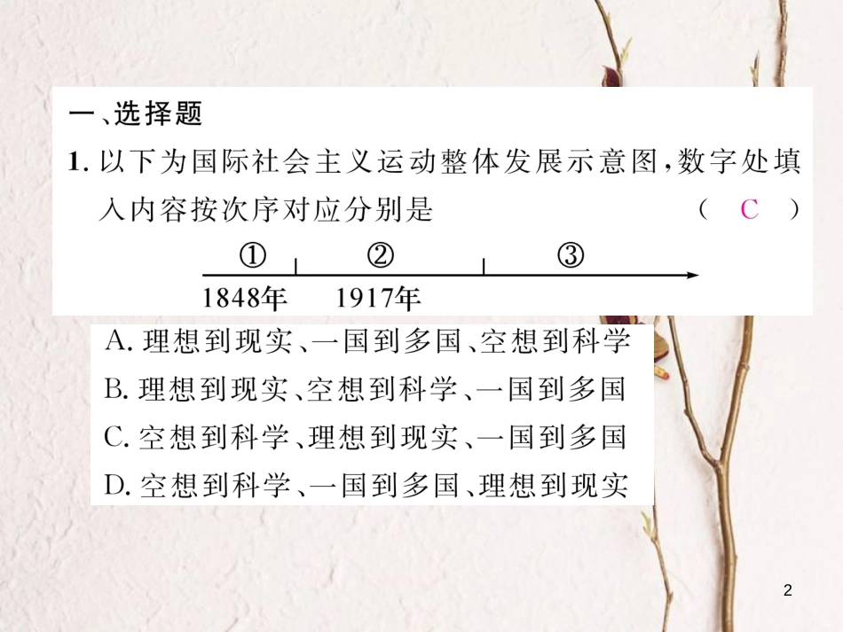 （河北专版）中考历史总复习 第22讲 社会主义国家的改革和演变 亚非拉国家的独立与振兴考点攻关练课件_第2页