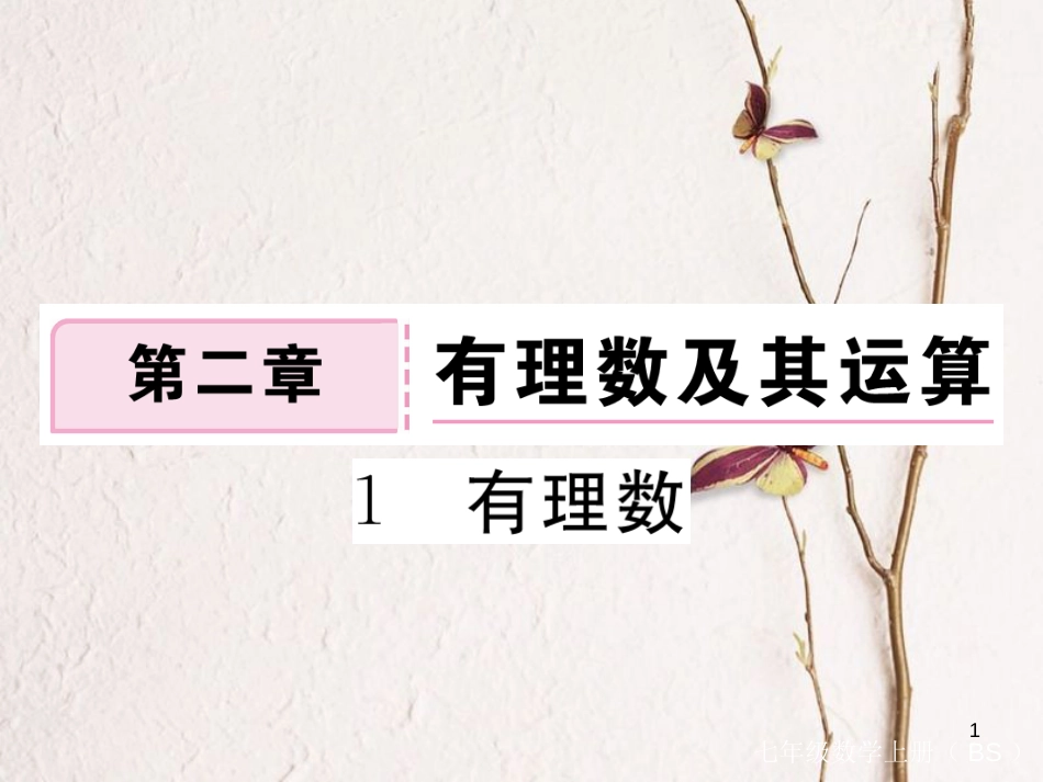 七年级数学上册 2.1 有理数习题课件 （新版）北师大版_第1页