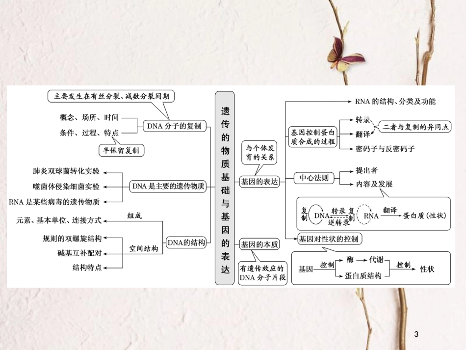 2019版高考生物一轮复习 第七单元 基因突变和基因重组单元综合精选课件_第3页