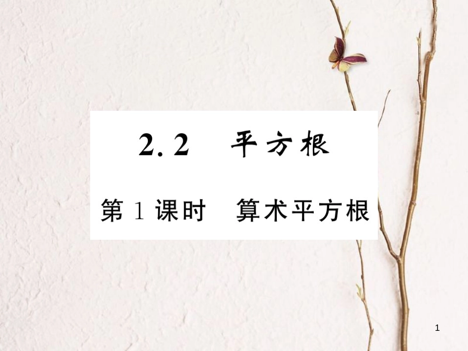(贵州专版)八年级数学上册 2.2 平方根 2.2.1 算术平方根习题课件 (新版)北师大版_第1页