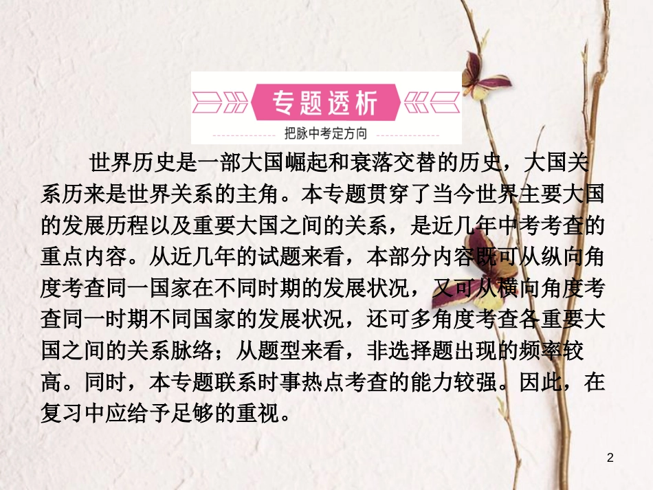山东省临沂市中考历史复习 专题七 大国发展史及重要大国关系课件_第2页