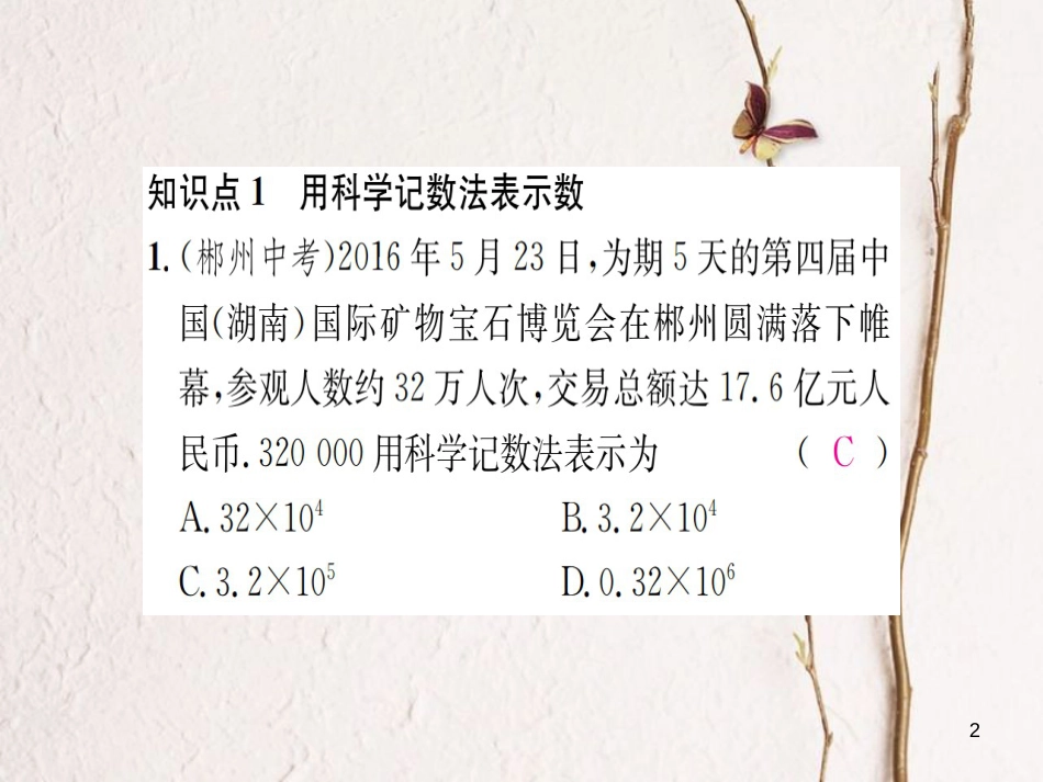 七年级数学上册 1.6 有理数的乘方 第2课时 科学记数法习题课件 （新版）湘教版_第2页