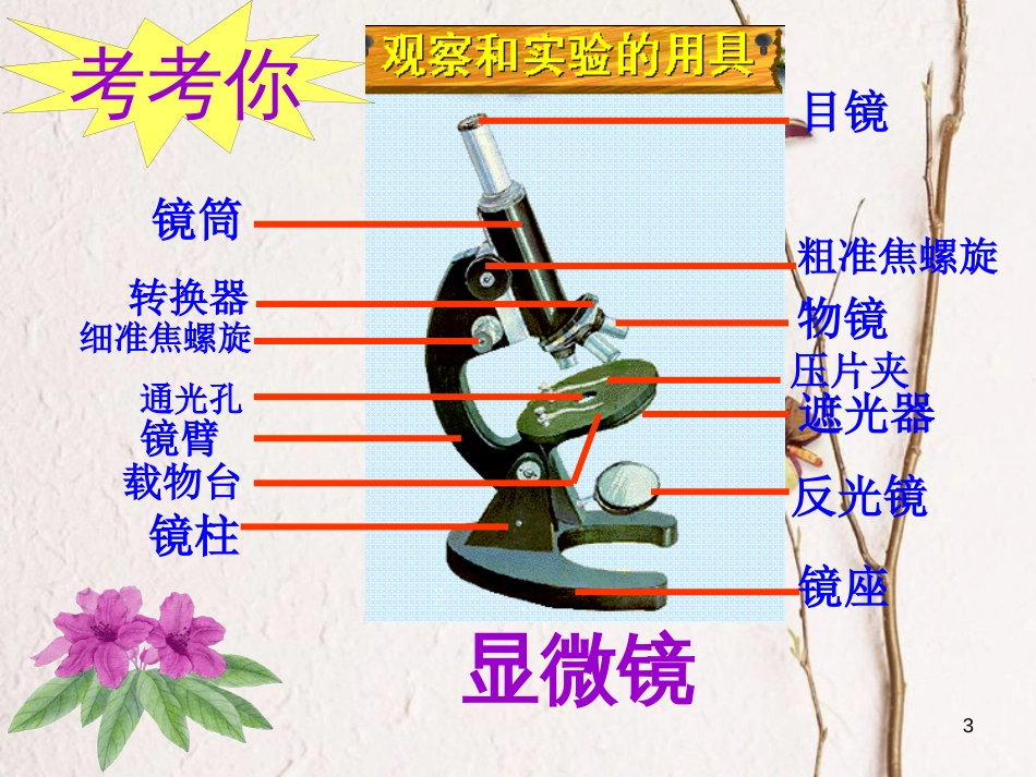 学年七年级生物上册 1.1.2 生物学的基本研究方法课件2 （新版）苏科版_第3页