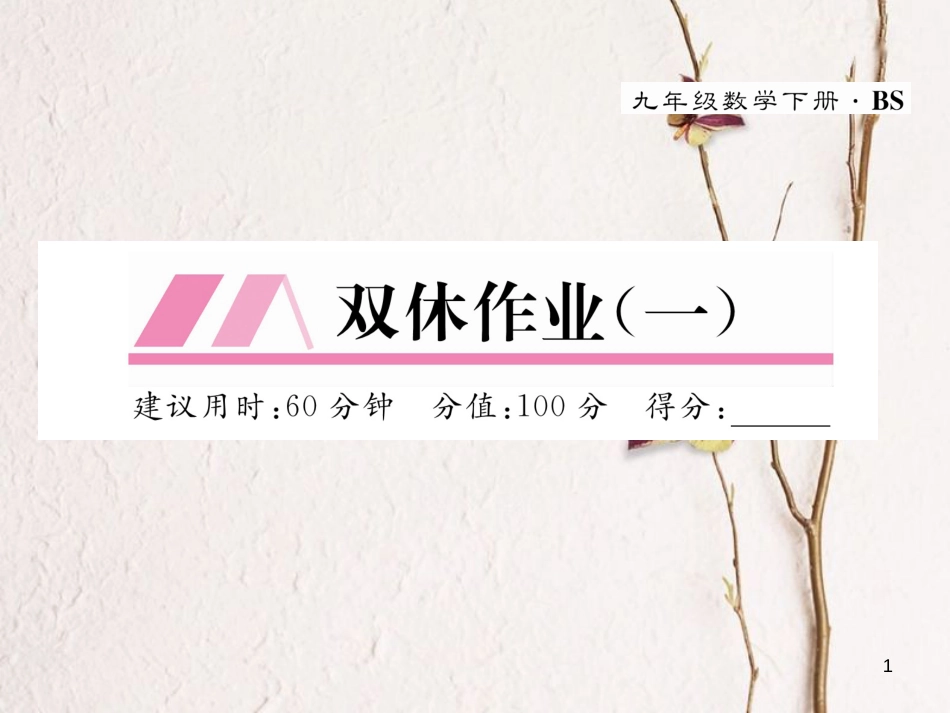 九年级数学下册 双休作业（一）作业课件 （新版）北师大版_第1页