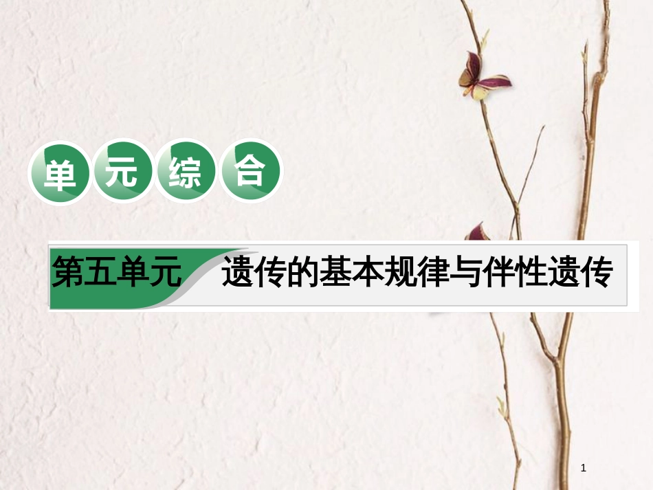 2019版高考生物一轮复习 第五单元 遗传的基本规律与伴性遗传单元综合精选课件_第1页