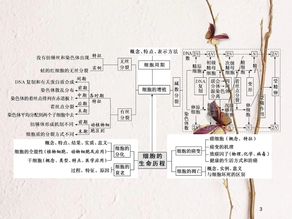 2019版高考生物一轮复习 第五单元 遗传的基本规律与伴性遗传单元综合精选课件_第3页
