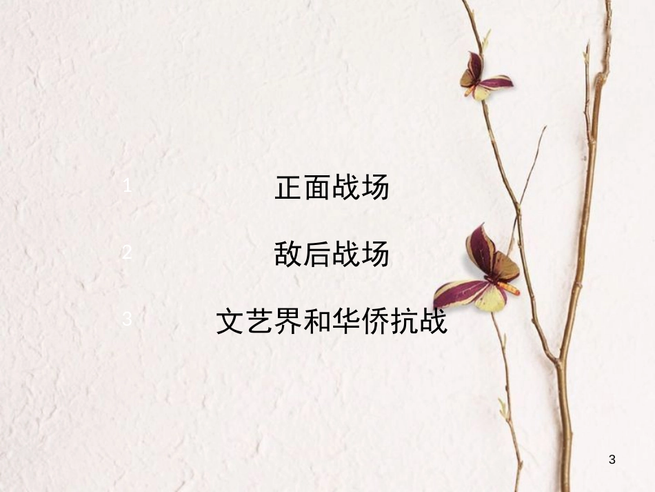 八年级历史上册 19《“血肉筑起的长城”》课件 岳麓版_第3页