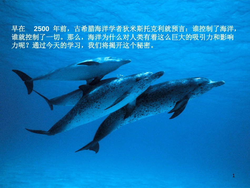 八年级语文上册 第四单元 14《海洋与生命优秀》课件3 北京课改版_第1页