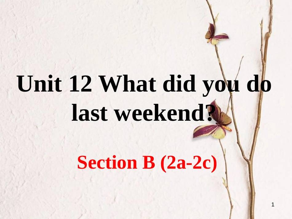 （安徽专版）七年级英语下册 Unit 12 What did you do last weekend Section B（第2课时）教学课件 （新版）人教新目标版_第1页