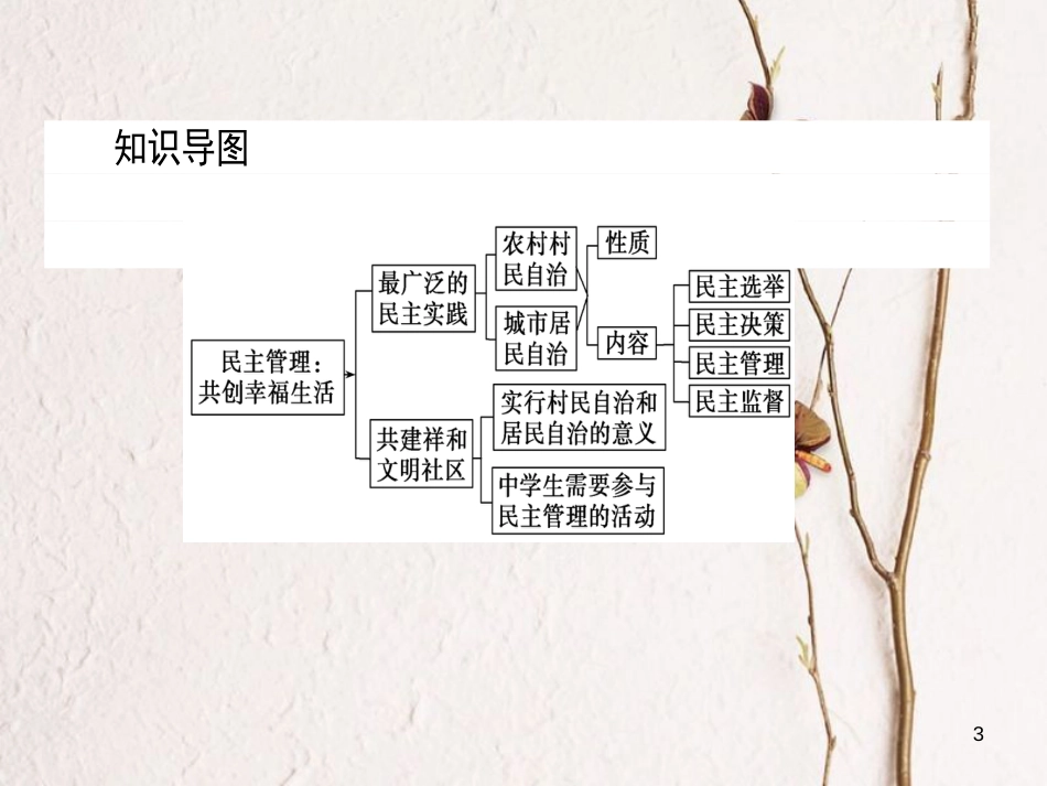 高中政治 1.2.3民主管理：共创幸福生活课件 新人教版必修2_第3页