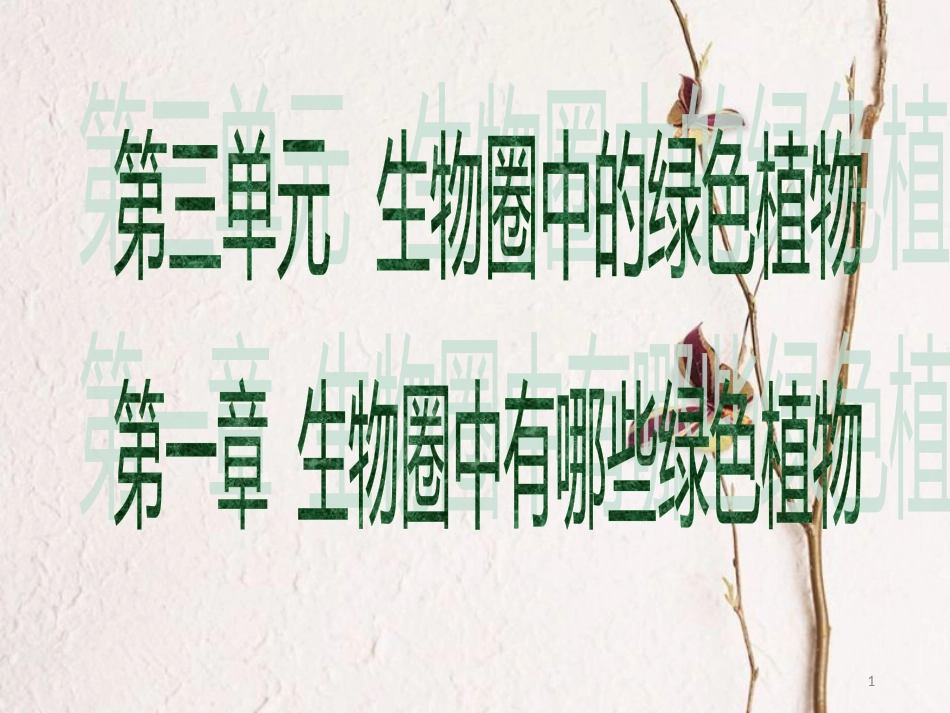 广东省中考生物 第三单元 生物圈中的绿色植物 第一章 生物圈中有哪些绿色植物课件_第1页