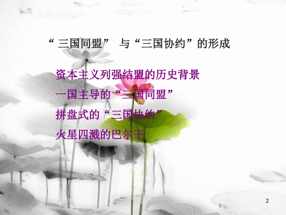 九年级历史上册 第三单元 近代社会的发展与终结 第19课 缔约结盟的狂潮教学课件 北师大版[共31页]_第2页