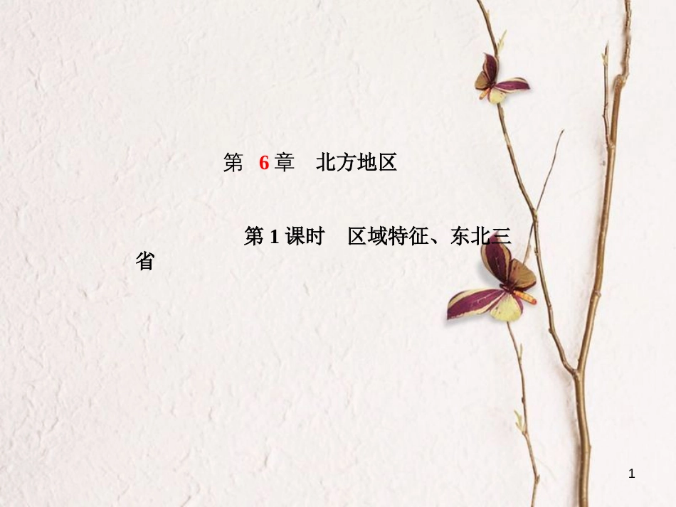 山东省德州市中考地理一轮复习 八下 第6章 北方地区 第1课时区域特征、东北三省课件_第1页