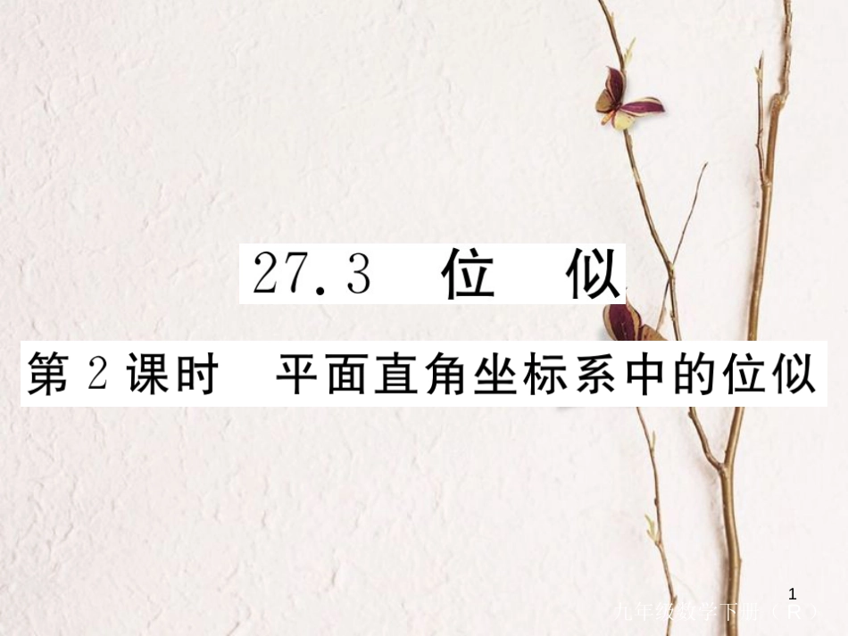 （安徽专版）九年级数学下册 第二十七章 相似 27.3 第2课时 平面直角坐标系中的位似练习课件 （新版）新人教版_第1页