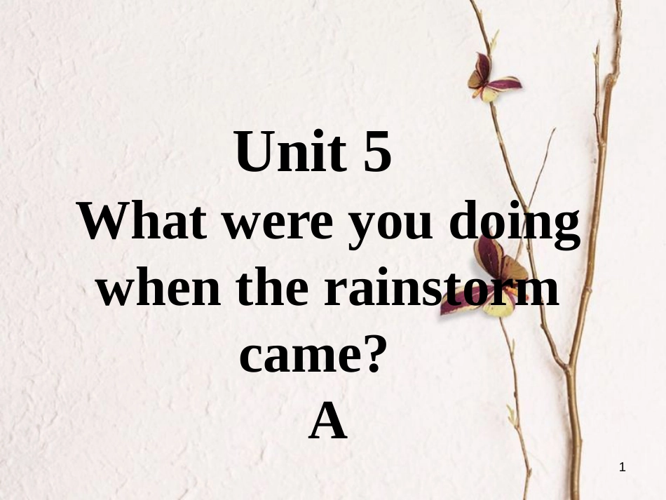 八年级英语下册 口头表达专练 Unit 5 What were you doing when the rainstorm came Section A课件 （新版）人教新目标版_第1页