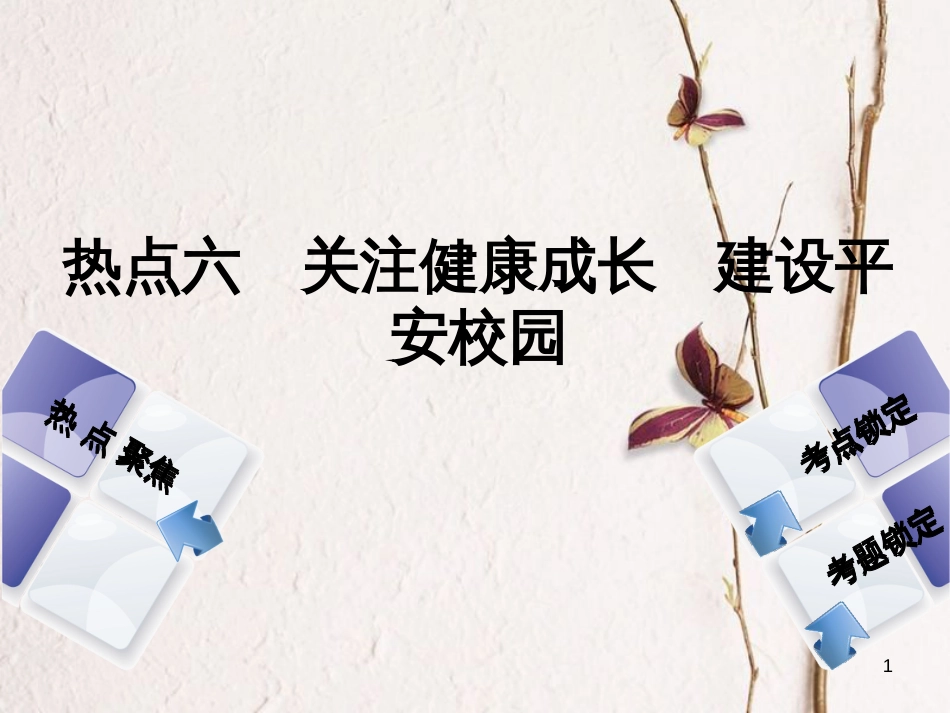 （河北专版）中考政治复习方案 热点专题六 关注健康成长 建设平安校园课件_第1页