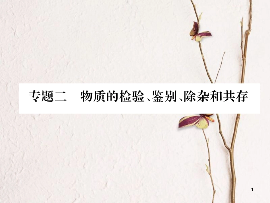（青海专版）中考化学复习 第2编 重点题型突破篇 专题2 物质的检验、鉴别、除杂和共存（精讲）课件_第1页