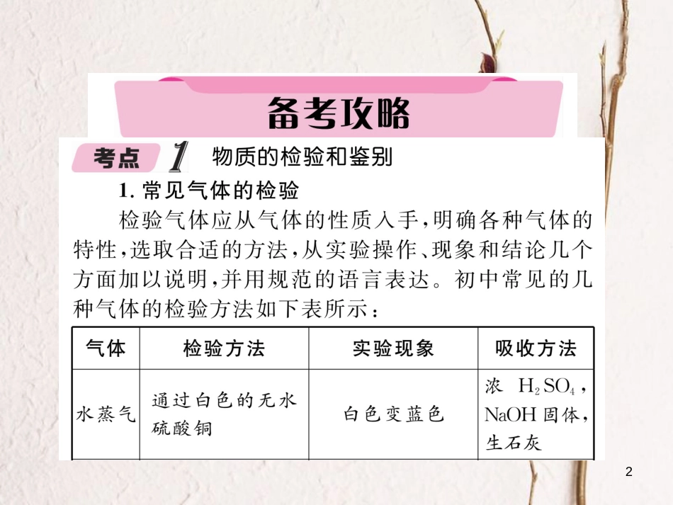 （青海专版）中考化学复习 第2编 重点题型突破篇 专题2 物质的检验、鉴别、除杂和共存（精讲）课件_第2页