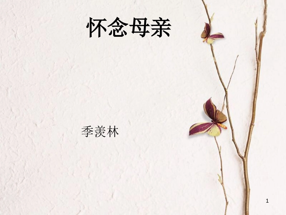 九年级语文下册 第六课《怀念母亲》课件3 新疆教育版_第1页