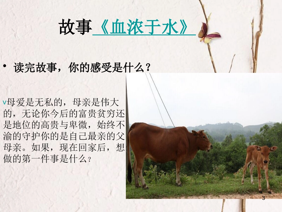 九年级语文下册 第六课《怀念母亲》课件3 新疆教育版_第3页