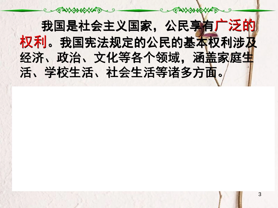 江西省九年级政治全册 第三单元 融入社会 肩负使命 第六课 参与政治生活 第3框《依法参与政治生活》课件 新人教版_第3页