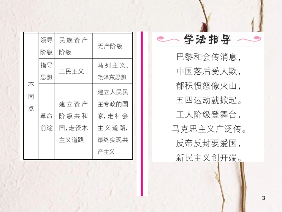 八年级历史上册 第四单元 新时代的曙光 第13课 五四运动作业课件 新人教版_第3页