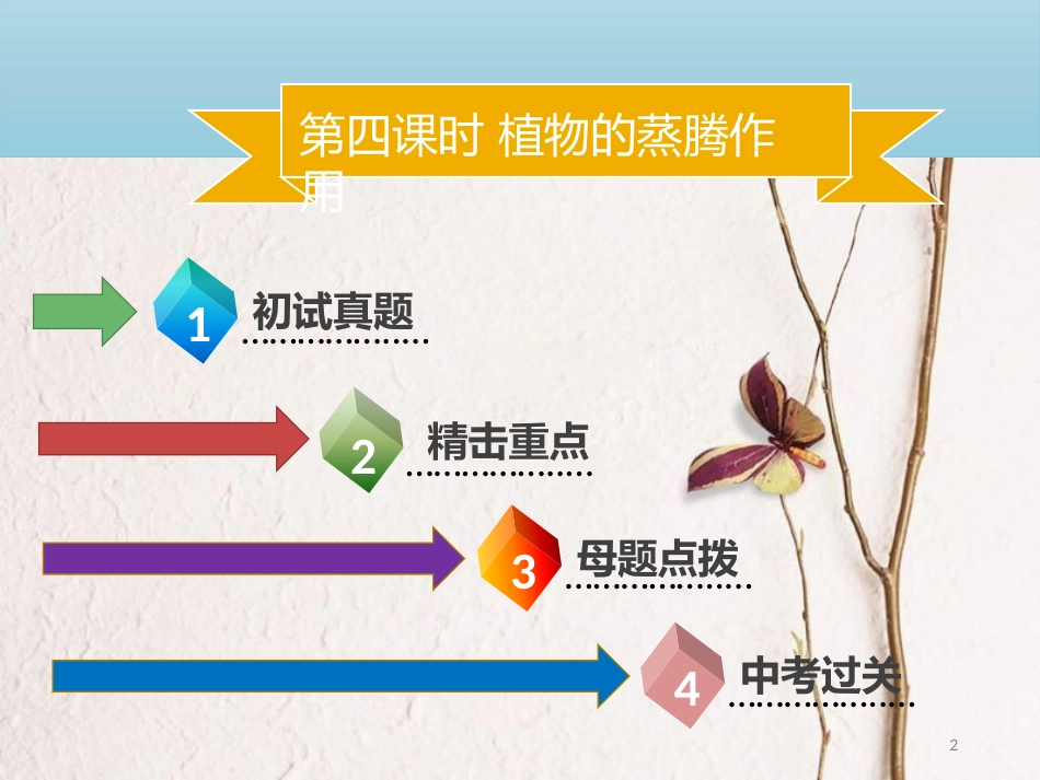 广东省中考生物 模块三 生物圈中的绿色植物 第四课时 植物的蒸腾作用课件_第2页