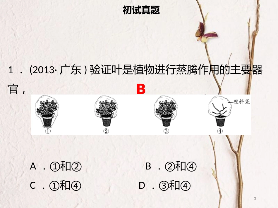 广东省中考生物 模块三 生物圈中的绿色植物 第四课时 植物的蒸腾作用课件_第3页