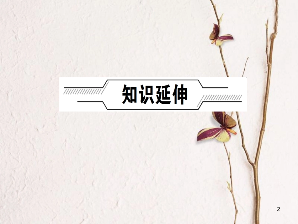 （福建专版）中考历史总复习 主题20 资产阶级统治的加强课件_第2页