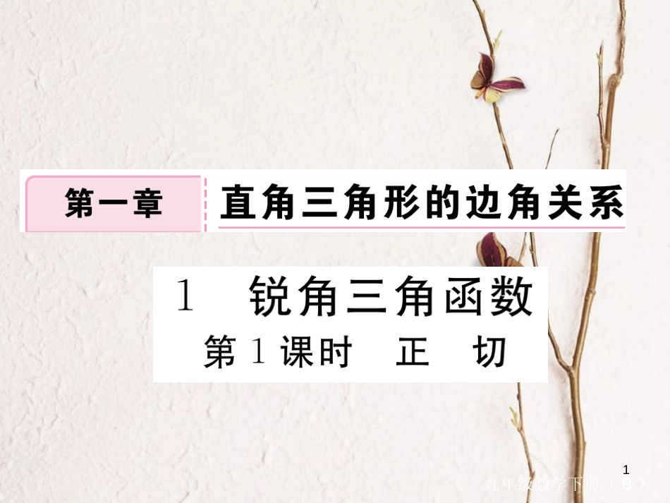 江西省2018年九年级数学下册 第一章 直角三角形的边角关系 1.1 第1课时 正切练习课件 （新版）北师大版_第1页