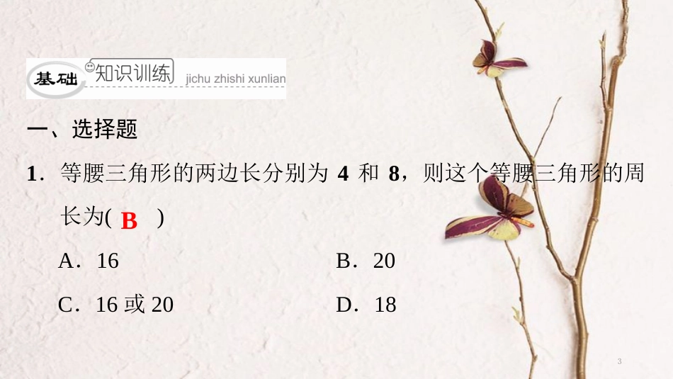 八年级数学下册 第一章 三角形的证明回顾与思考典型训练课件 （新版）北师大版_第3页