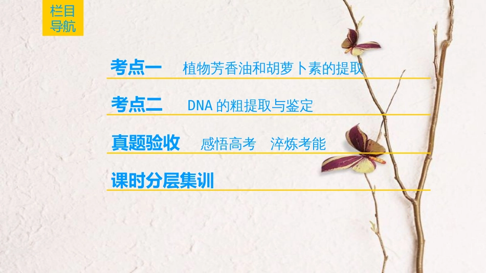 （全国版）2019版高考生物一轮复习 生物技术实践 第3讲 生物技术在其他方面的应用课件_第2页