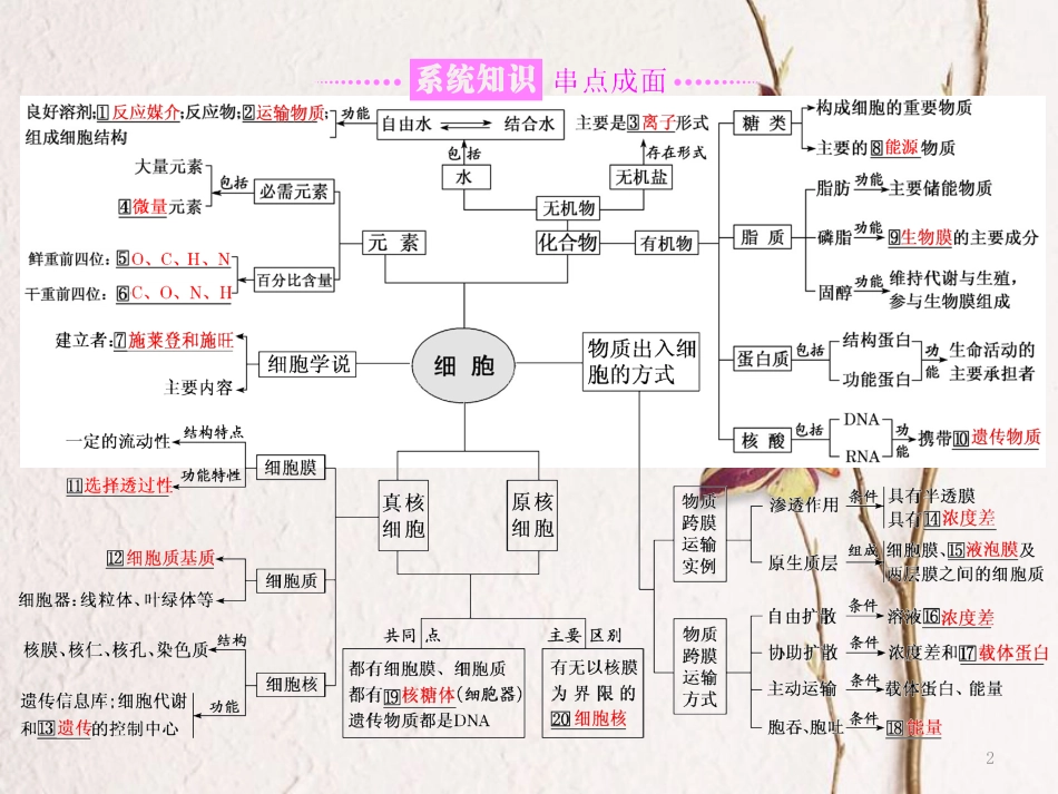 （全国通用）高考生物二轮复习 专题一 细胞 串讲一 细胞的物质基础、结构与功能、物质运输 第1课时 基础自查课件_第2页