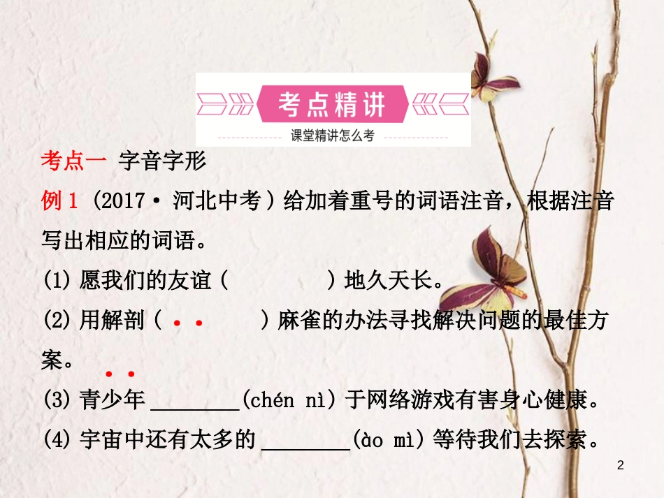河北省中考语文总复习专题一字音字形课件_第2页