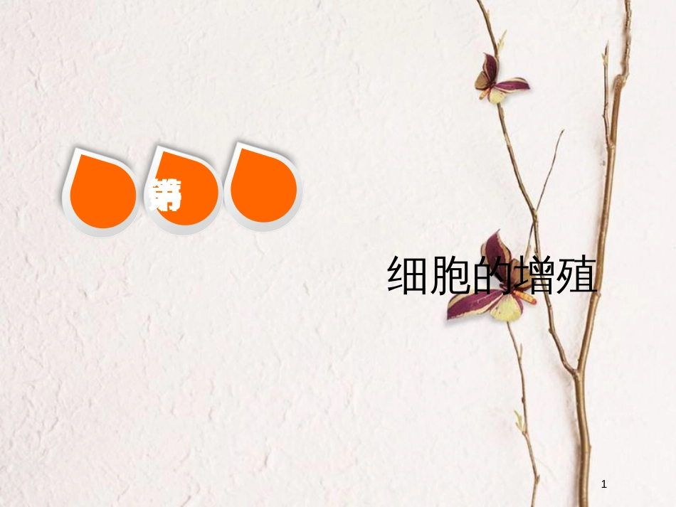 2019版高考生物一轮复习 第四单元 细胞的生命历程 第一讲 细胞的增殖精选课件_第1页